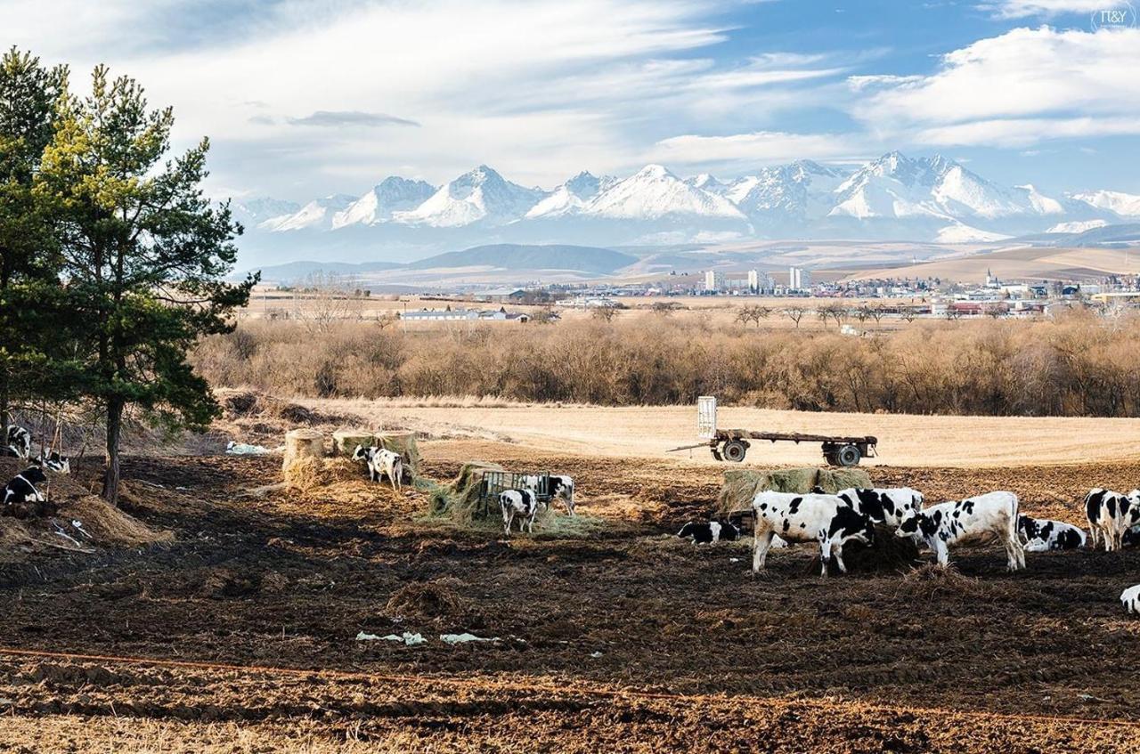 Apartman Ala Spišská Nová Ves Bagian luar foto