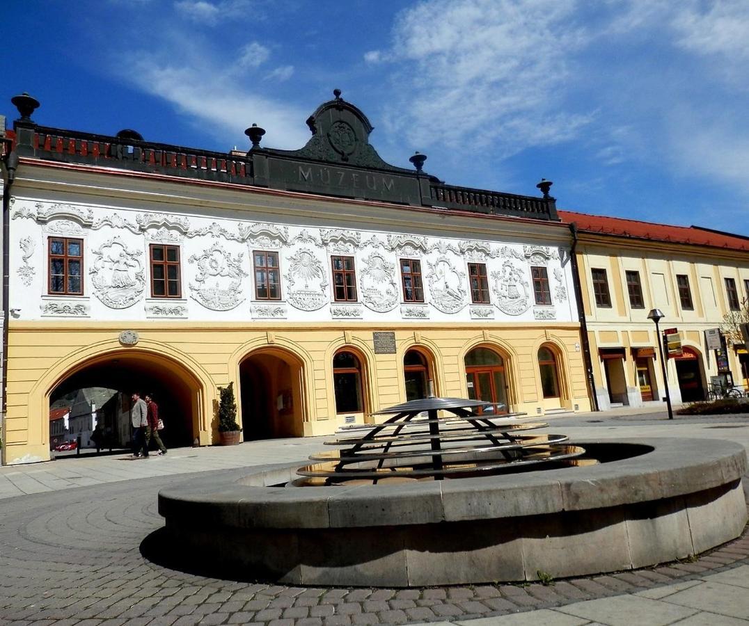 Apartman Ala Spišská Nová Ves Bagian luar foto